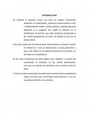Ensayo de porque los jovenes no leen