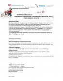 DESARROLLO BIOLÓGICO: CRECIMIENTO, MOTRICIDAD, LOCOMOCIÓN, DENTICIÓN, TALLA. PESO-EDAD DEL INFANTE