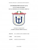 INFORME DE LABORATORIO “CONSERVACIÓN DEL MOMENTO LINEAL”