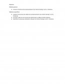 Conocer la historia de la empresa Novem Car Interior Desing S. de R.L. Honduras