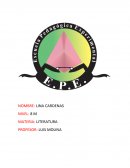 Trabajo literatura