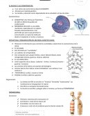 Resumen biologia mieosis y cancer