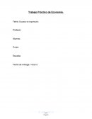 Trabajo Práctico de Economía. Escasez de exportación.