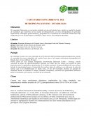 Caracterizacion General del Municipio Palavecino