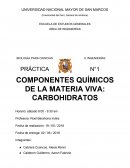 BIOLOGÍA PARA CIENCIAS E INGENIERÍAS PRÁCTICA N°1