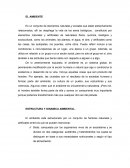 EL AMBIENTE. ESTRUCTURA Y DINAMICA AMBIENTAL