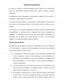 Membrana plasmática. Modelo mosaico fluido