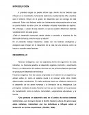 Taller de autoconocimiento, factores endógenos