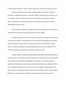 El autor Fermín Viniegra nos cuenta en el libro la historia de la física de una manera muy fácil