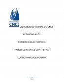 Comercio electronico ACTIVIDAD