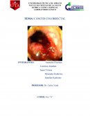 PRUEBAS DE CRIBADO ESPECÍFICOS La Colonoscopia