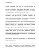 Los organismos públicos y las empresas mineras en la implementación de una planificación territorial