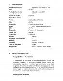 Informe de los dos hombres trabajando