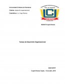 Tareas de Desarrollo Organizacional