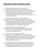 Estructura del campo visual