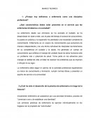 ¿Porque hoy definimos a enfermería como una disciplina profesional?