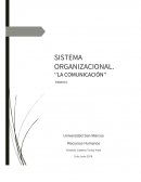 Administración de Recursos Humanos: El Capital Humano de las Organizaciones