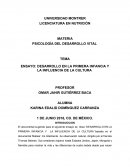 DESARROLLO EN LA PRIMERA INFANCIA Y LA INFLUENCIA DE LA CULTURA