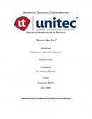Proyecto Real Pitch. Urbanización de viviendas en Zona Sur de Honduras