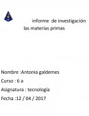 Informe de investigación las materias primas