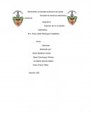 Benemérita universidad autónoma de puebla