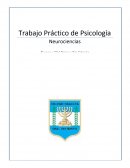 Trabajo Práctico de Neurociencias