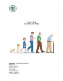 Psicología del Desarrollo Trabajo Social.