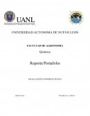 Terminologia basica Reporte/Portafolio