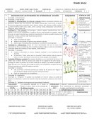 Plan de educacion fisica primer grado