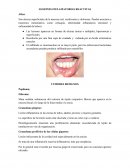 LESIONES INFLAMATORIAS REACTIVAS