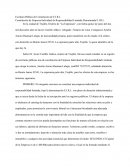Constitución de Empresa Individual de Responsabilidad Limitada Denominada E.I.R.L.