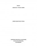 ENSAYO ARANCELES Y TIPOS DE CAMBIO