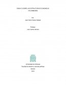 Estructuras economicas de colombia