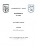 Médico de Cuerpos y Almas