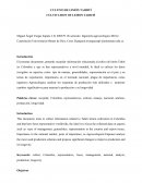 Manejo Cultivo Lima Acida Tahití