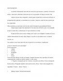 Ensayo intensamente apliado a la psicología