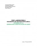 RENDIMIENTO DE UNA REACCIÓN QUÍMICA POR MEDIO DE LA GENERACIÓN E IDENTIFICACIÓN DE GASES