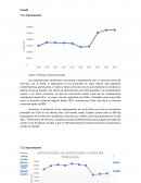 Plan de negocios cuy