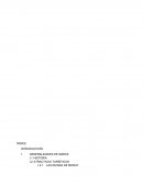 MONOGRAFIA MARAS FINA