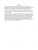 La fundamentación del conocimiento/ filosofos empiristas y racionalistas