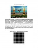 Percepción psicología