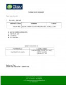 Modelo FORMATO DE REMISIÓN