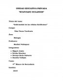 Enfermedad de las células falciformes