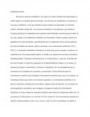 Laboratorio biologia celular