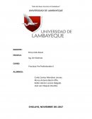 Practicas Pre Profesionales II