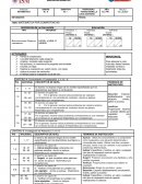 Ejemplo de sumativa PAI