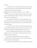 CASO NATURA. Los problemas económicos