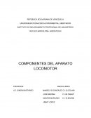 COMPONENTES DEL APARATO LOCOMOTOR
