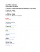 CONTABILIDAD TRIBUTARIA. ESTRUCTURA DE LAS CUENTAS