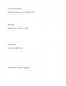 Evidencia Mercado Internacional